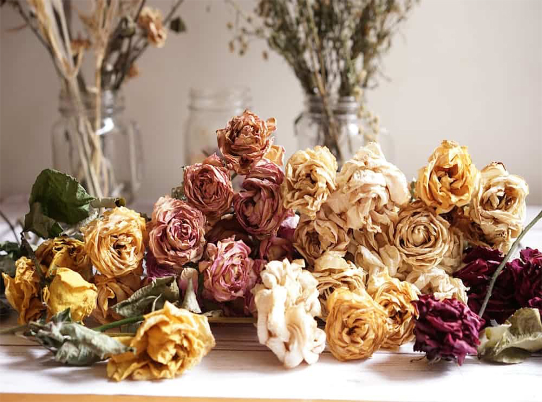 5-روش-برای-خشک-کردن-گل-رز