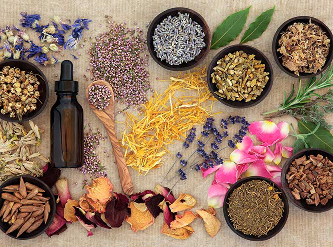 آیا گل ها خواص دارویی دارند؟