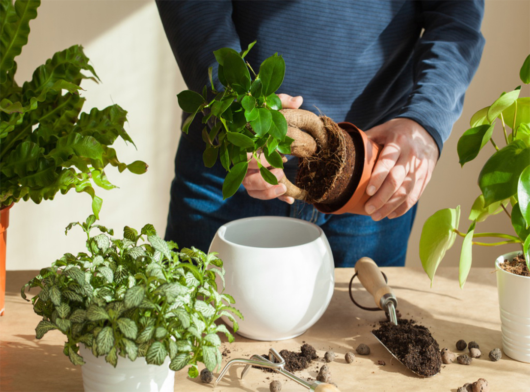 5نکته-برای-جلوگیری-ازشوک-پیوند