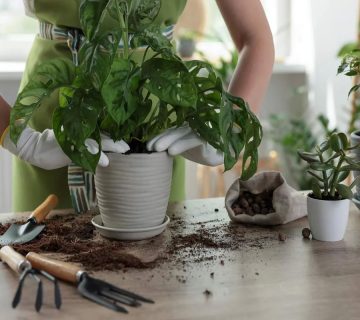 5نکته-برای-جلوگیری-ازشوک-پیوند