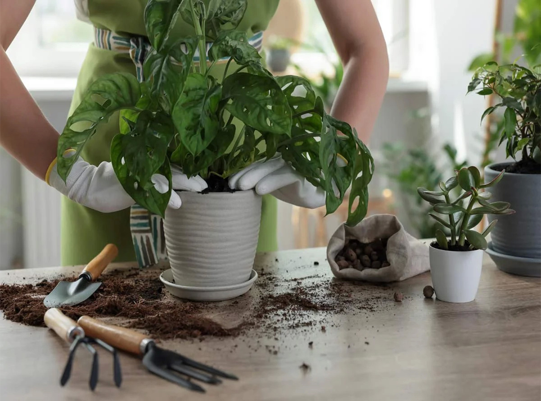 5نکته-برای-جلوگیری-ازشوک-پیوند