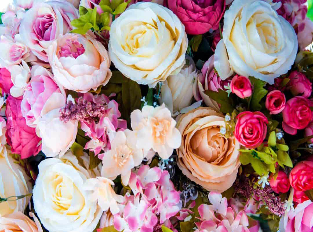 9-فواید-عاطفی-و-سلامتی-داشتن-گیاه-و-گل