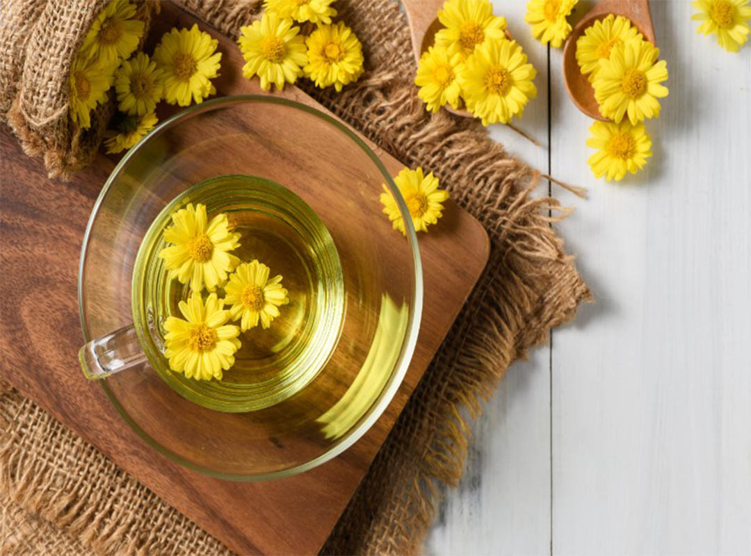 فواید-گل-داوودی-برای-سلامتی