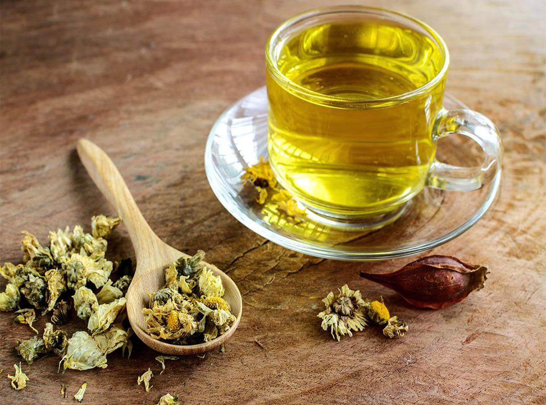 فواید-گل-داوودی-برای-سلامتی