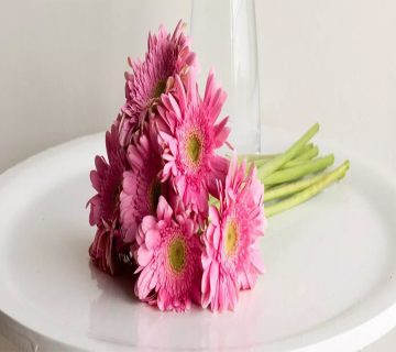 معنی،-حقایق،-انواع-و-نکات-مراقبتی-گل-ژربرا