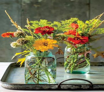 چگونه-گل-های-تازه-چین-را-تازه-نگه-داریم