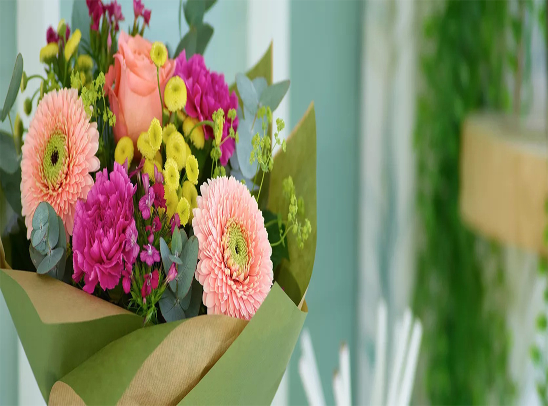 معنی،-حقایق،-انواع-و-نکات-مراقبتی-گل-ژربرا