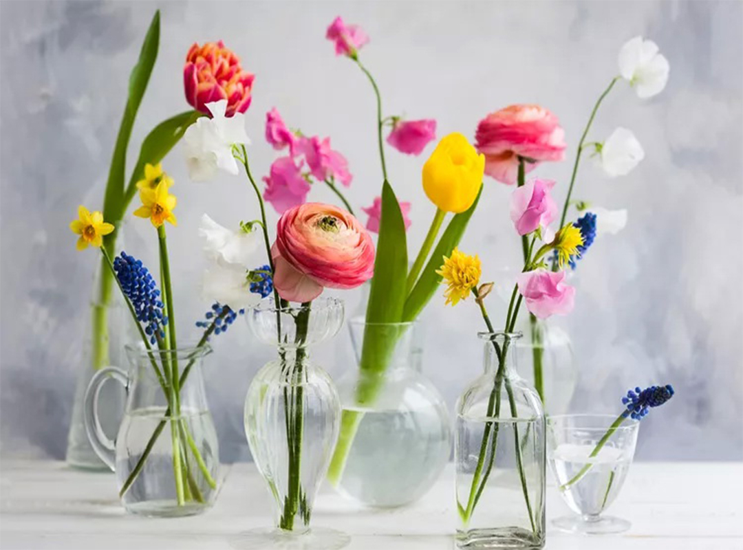 6-راه-برای-تازه-تر-نگه-داشتن-گل-در-مدت-طولانی-تر
