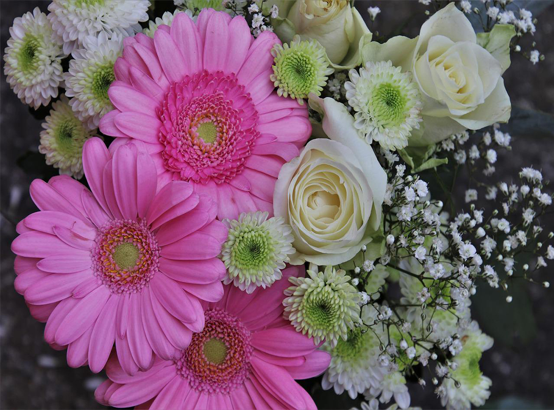 9-نکته-حرفه ای-از-گلفروشان-برای-ماندگاری-گلها|بخش-دوم