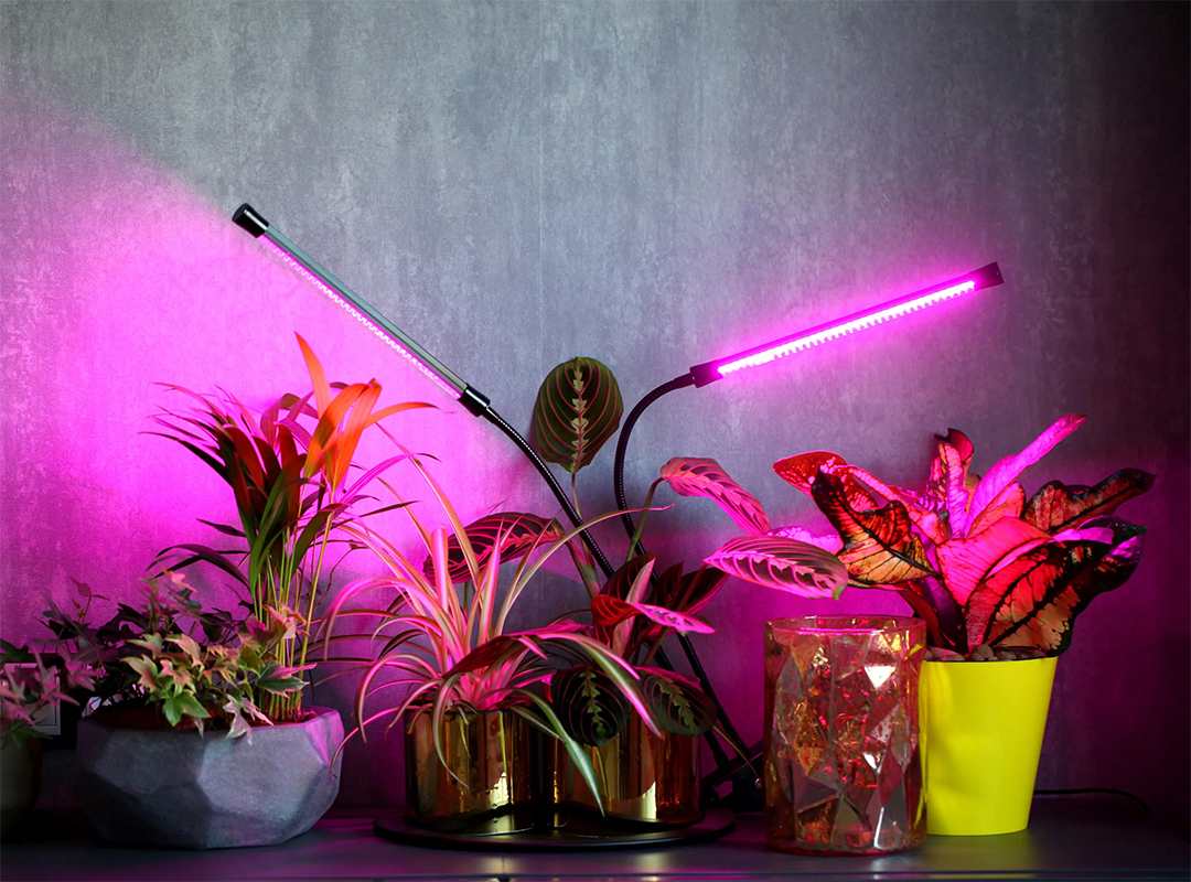 اشتباهات-رایج-چراغ-های-LED