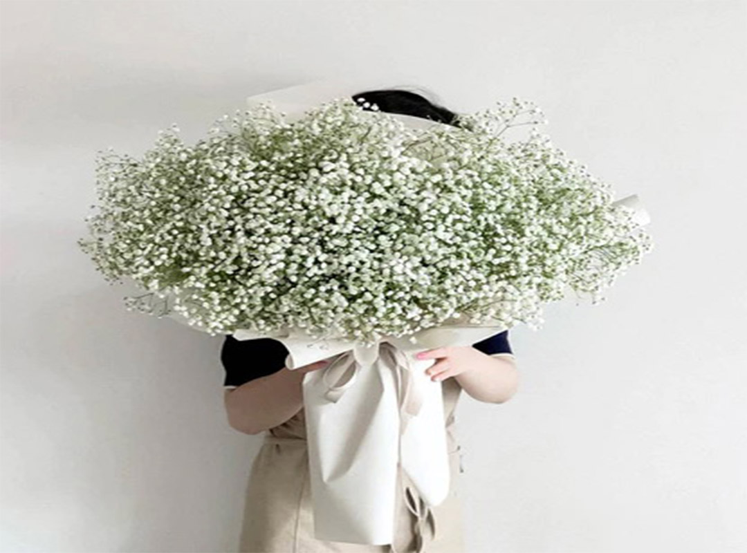 مراقبت-ویژه-از-گل-عروس