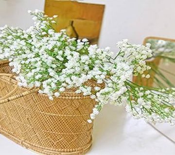 آب-دهی-به-گل-عروس|-بخش-اول