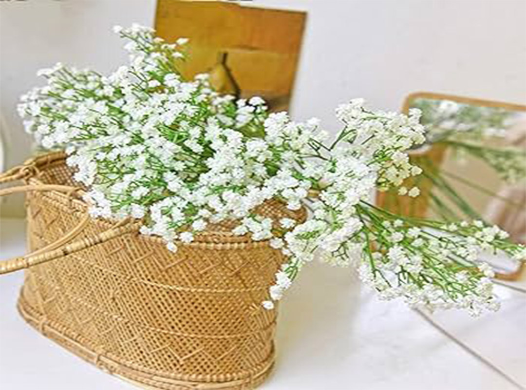 آب-دهی-به-گل-عروس|-بخش-اول