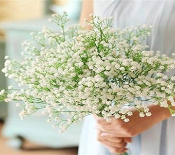 آب-دهی-به-گل-عروس|-بخش-دوم