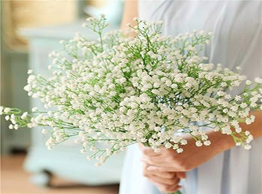 آب-دهی-به-گل-عروس|-بخش-دوم