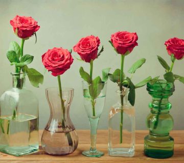 چگونه-گل-های-بریده-را-در-گلدان-تازه-نگه-داریم-بخش-اول