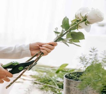 داروهای-خانگی-جایگزین-غذای-گل-نیستند