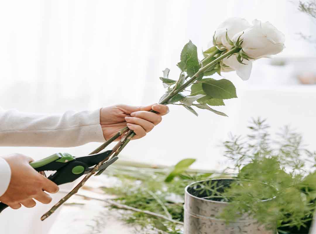 داروهای-خانگی-جایگزین-غذای-گل-نیستند