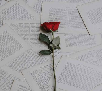 معنی-رز-قرمز