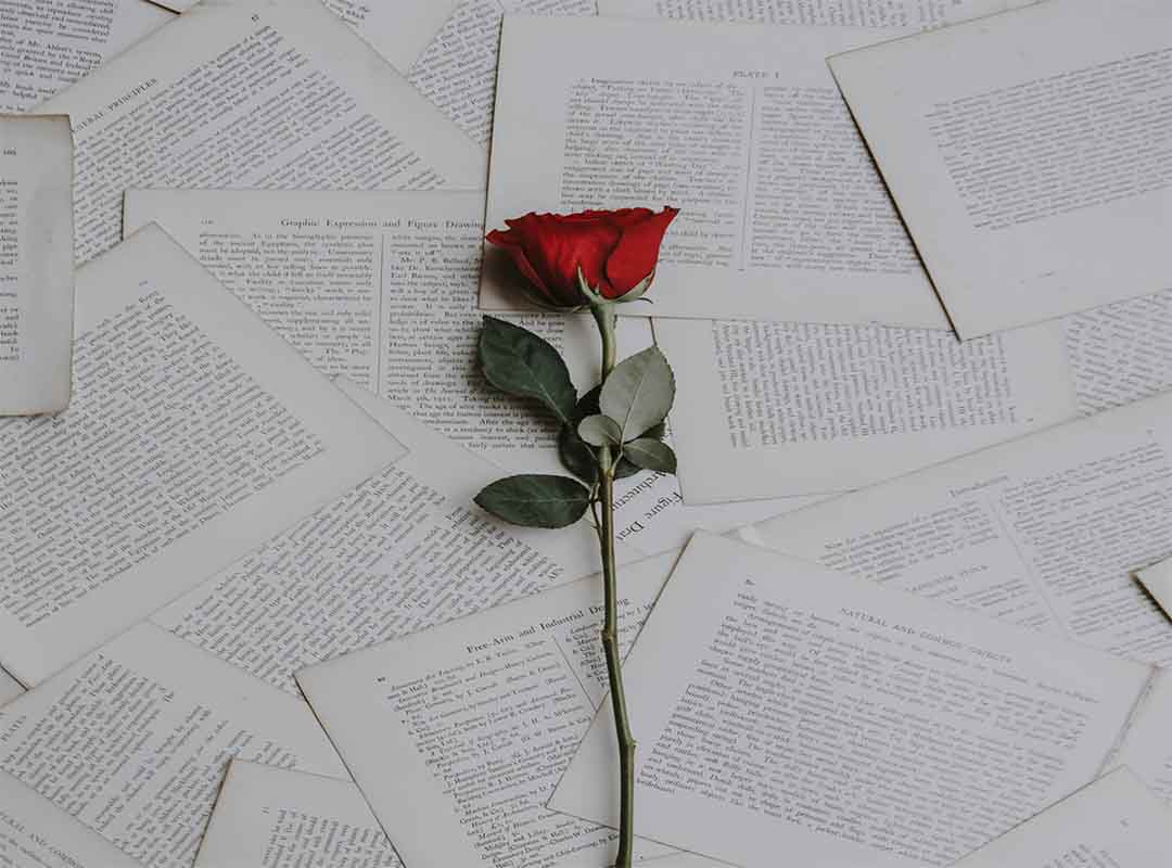 معنی-رز-قرمز