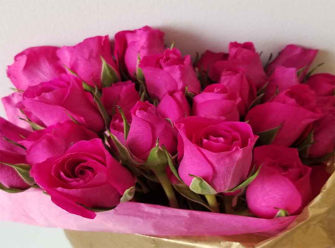 چگونه-رزهای-بریده-شده-را-تازه-نگه-داریم