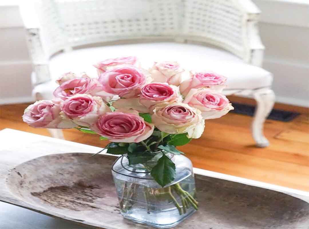 چگونه-عمر-گل-های-تازه-را-طولانی-کنیم؟