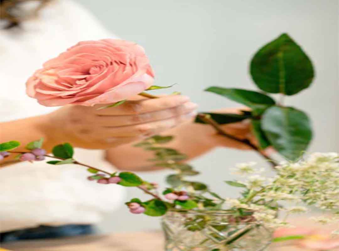 داروهای-خانگی-جایگزین-غذای-گل-نیستند