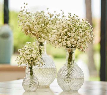 10-گل-برای-گل-فروشی-که-بهترین-چیدمان-را-دارند