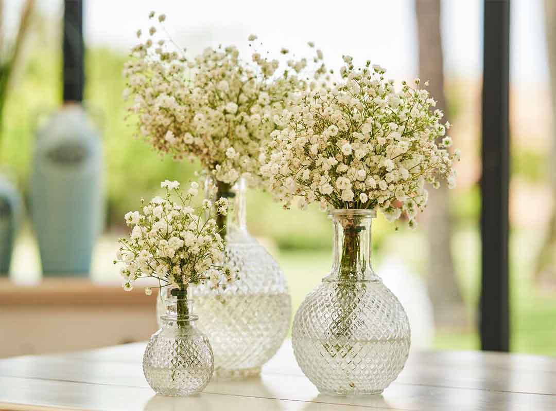 10-گل-برای-گل-فروشی-که-بهترین-چیدمان-را-دارند