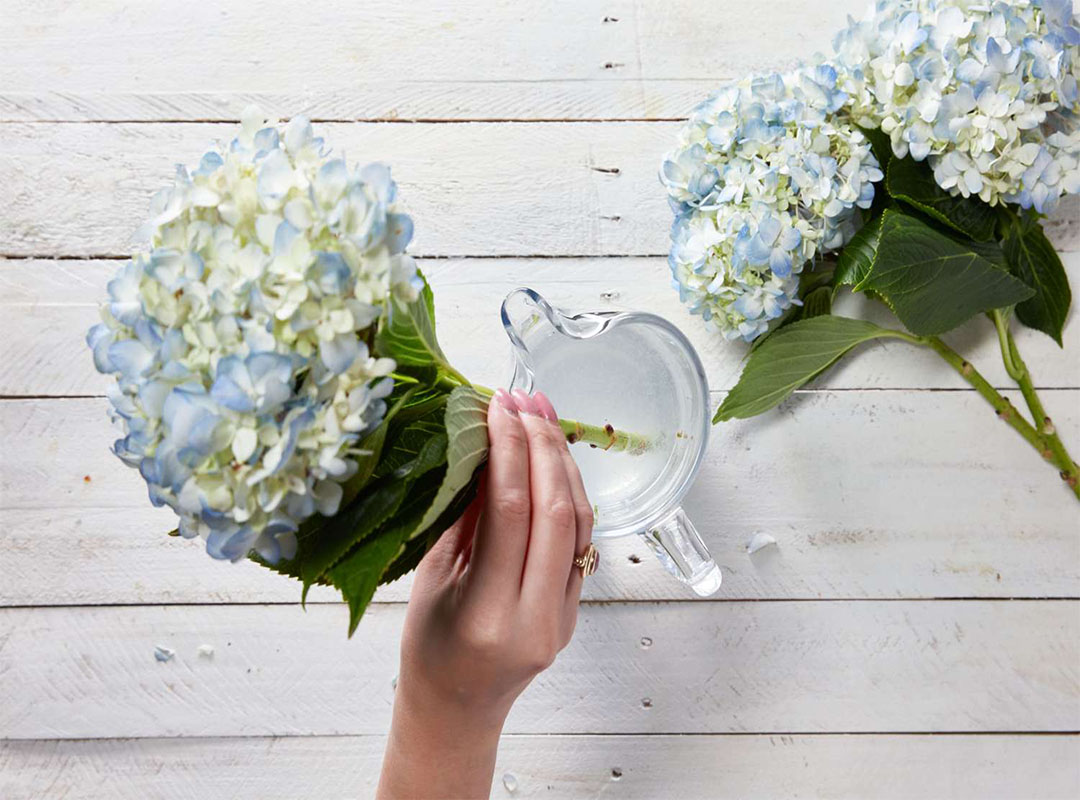 سرکه-برای-گلها