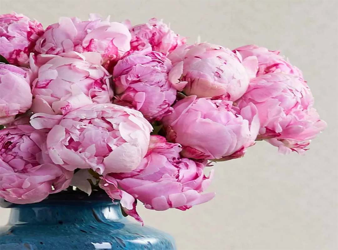 بهترین-گل-ها-برای-روز-مادر