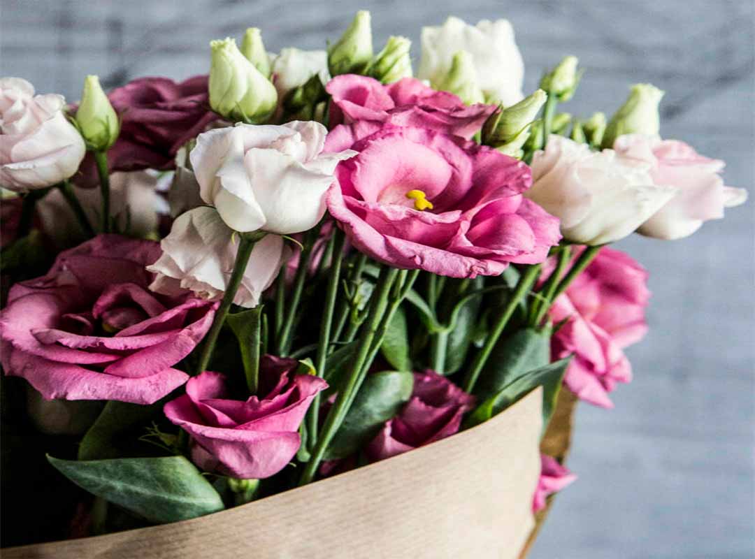 همه-چیز-برای-گل-لیسیانتوس