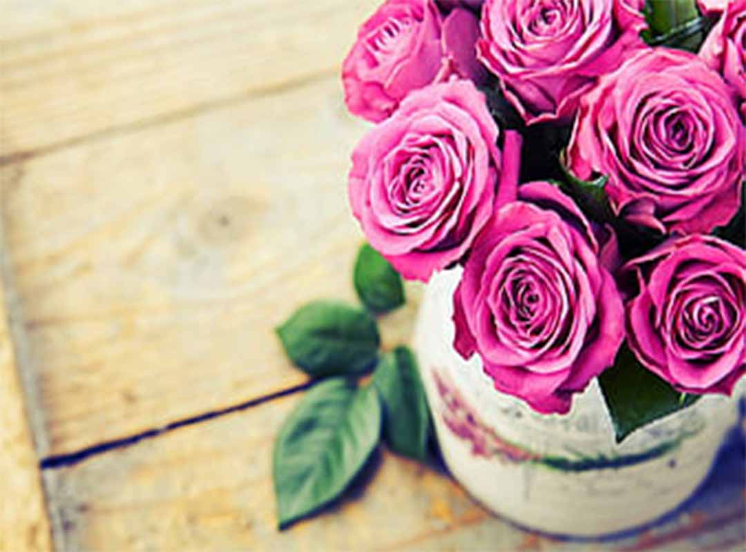 معنی-تعداد-گل-رز
