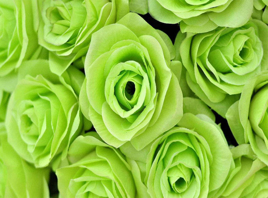 معنی-گل-های-سبز
