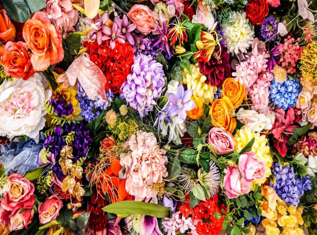 نماد-گل-های-مختلف|بخش-اول