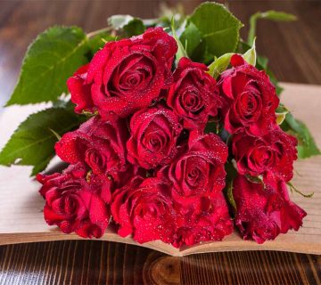معنی-تعداد-گل-رز
