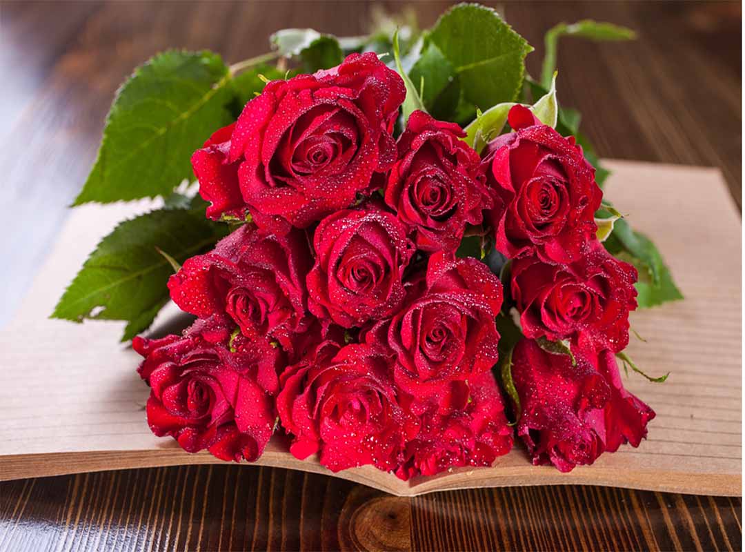 معنی-تعداد-گل-رز