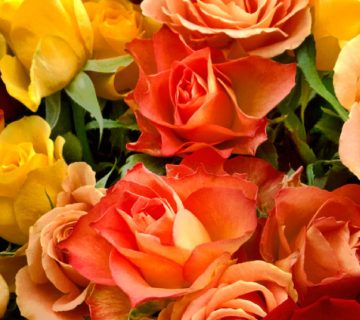 گل‌ها حرف دلت را می‌زنند