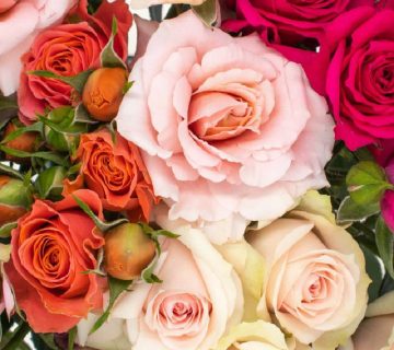 تاج گل: لبخندی زیبا