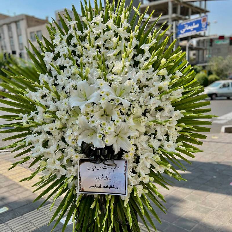 تاج گل گلایل: گلی با شکوه و زیبا
