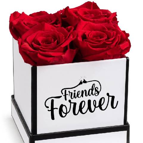  گل برای دوست صمیمی