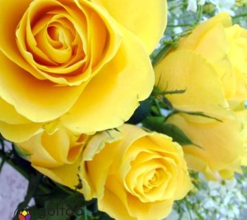 گل برای دوست صمیمی