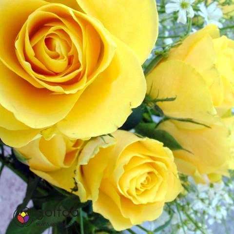گل برای دوست صمیمی