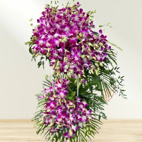 گل ارکیده؛ نماد زیبایی