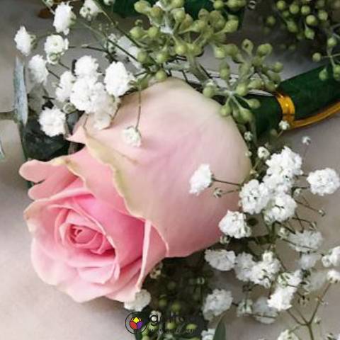 گلی برای همسرم