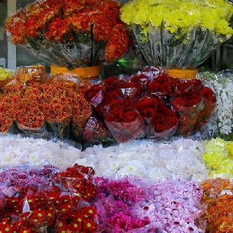 فروشگاه آنلاین گلتا، بهترین گل فروشی آنلاین در بازار گل محلاتی