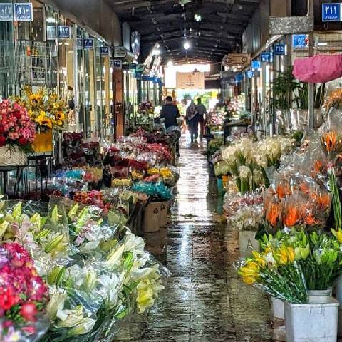 فروشگاه آنلاین گلتا در بازار گل محلاتی