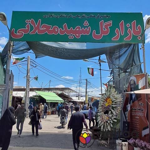 فروشگاه آنلاین گلتا در بازار گل محلاتی
